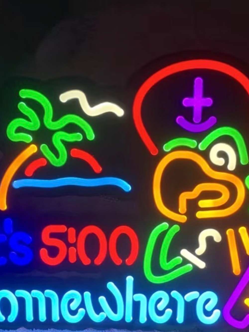 Colorful Neon Pirate Parrot Wall Art - Multicolor Neon Sign